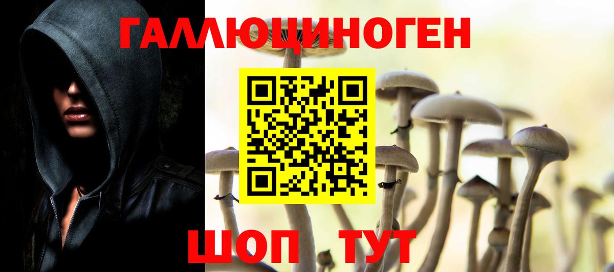 Псилоцибиновые грибы мухоморы Кимовск